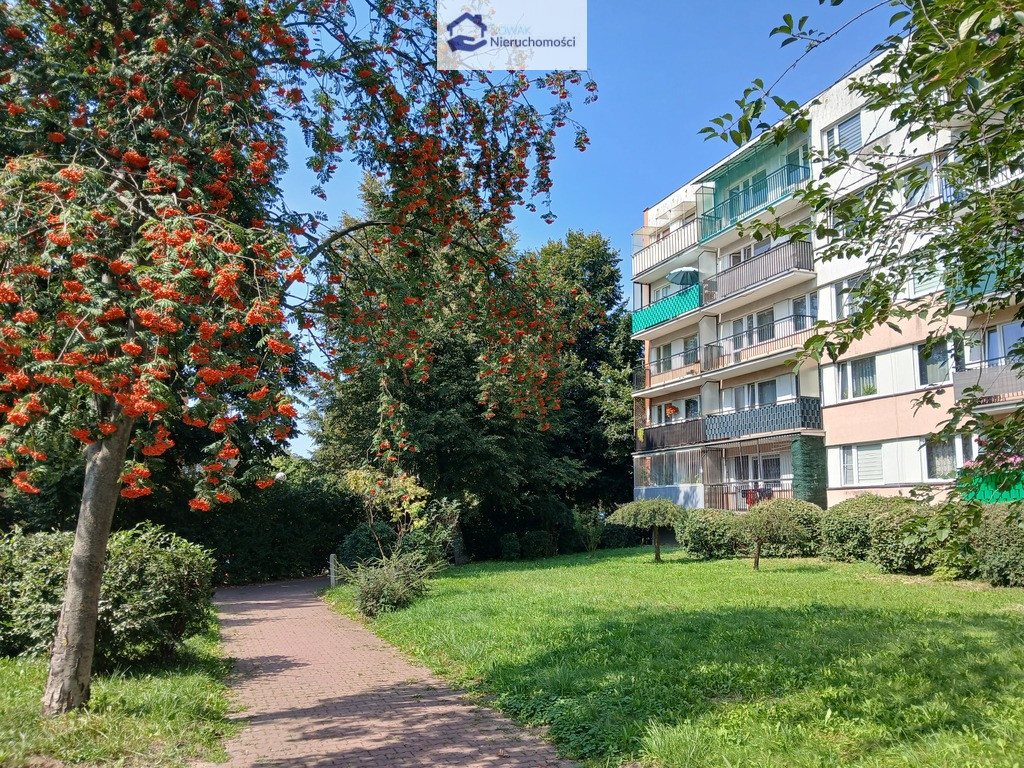 4 pokoje do remontu, okolice ul. Filaretów