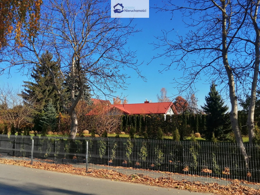 Działka Wynajem Dys