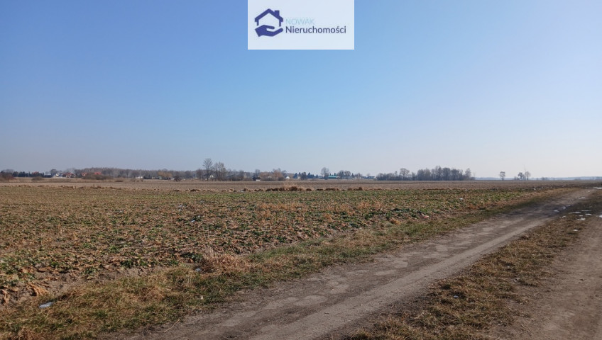 Działka Sprzedaż Parczew